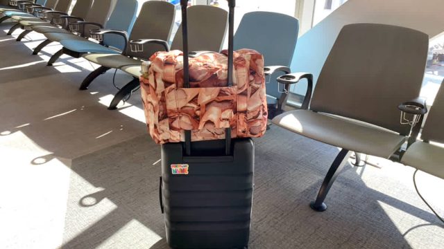 Discover the Stylish and Practical Carry-On Bag Taking Over Travel