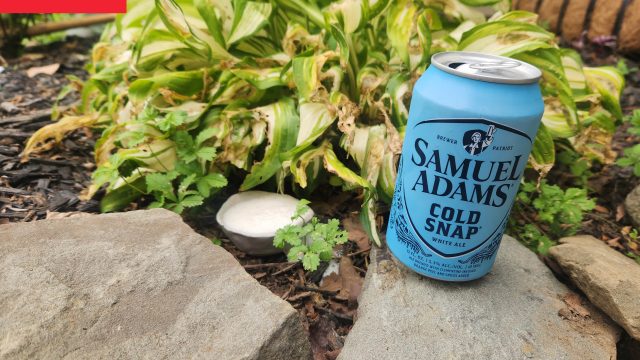 The Innovative Use of Beer: A Garden Solution to Slug Problems
