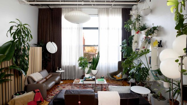 Transform Your Space with the Affordable FADO Lamp: A DIY Marvel