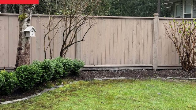 Transforming Your Backyard: A Gardener's Paradise Awaits