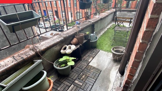 Transform Your Balcony: Affordable DIYs for a Green Retreat