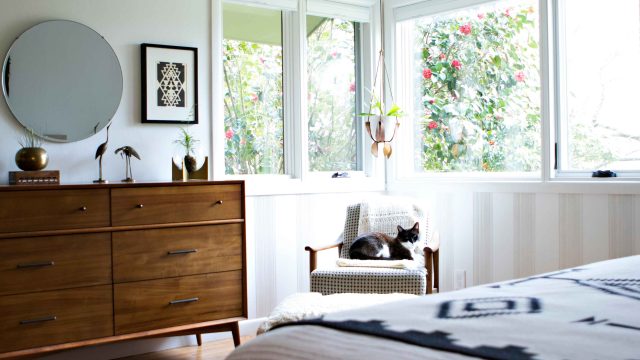 Transforming Pet Care: The Rise of Self-Cleaning Litter Boxes