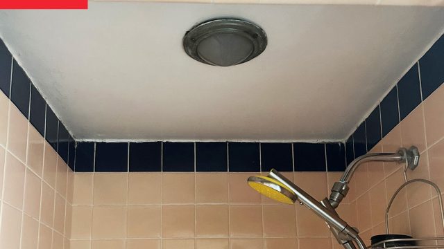 Transform Your Bathroom with a Grand Central-Inspired Ceiling Mural
