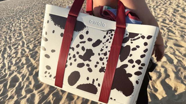 Transform Your Beach Experience with the Ultimate Tote Bag