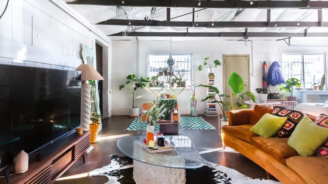 Transform Your Home with Animal-Shaped Rugs: A Must-Have for Every Adult