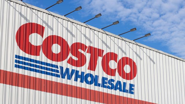 Affordable Floating Orchids from Costco: A Smart Choice for Your Space
