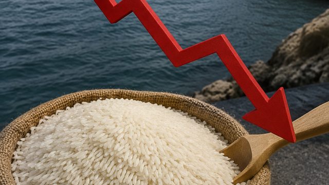 Impact of Hormuz Closure: Basmati Prices Decline Significantly