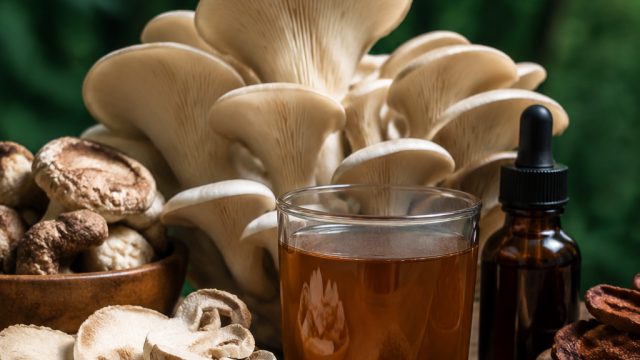 The Rise of Functional Mushroom Products in Today's Health Market | warungcash slot, daun123, vivo v