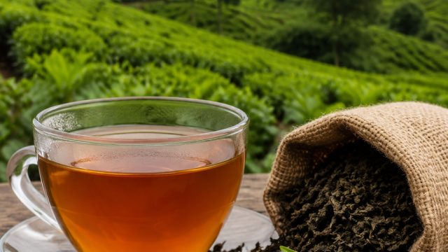 Norben Tea Achieves Upper Circuit Milestone Amid Rising Demand